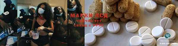 спиды Богданович