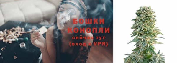 спиды Богданович