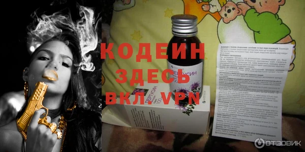 спиды Богданович