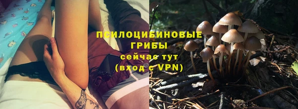 спиды Богданович