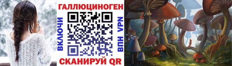 Галлюциногенные грибы Psilocybe  Майкоп 